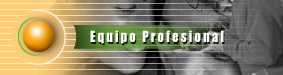 Profesionales Consultores que aportan con su expertise al trabajo de nuestra organizacion